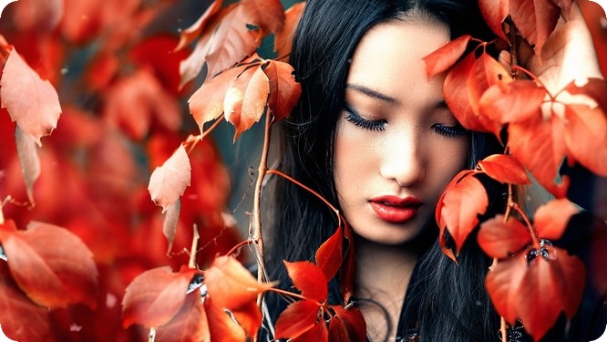 婚姻矛盾，自我觉醒，融合共生，课题分离，情绪边界